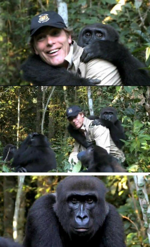 állatok 111 Néhány nyilvánvaló bizonyíték arra, hogy az állatoknak lélek van