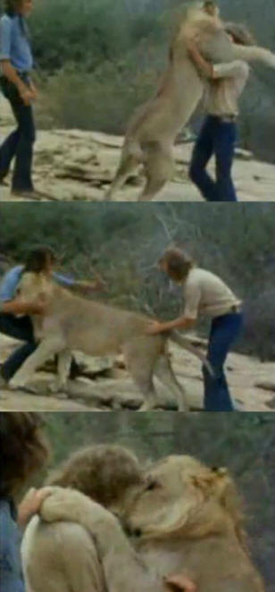 állatok 41. Nyilvánvaló bizonyíték arra, hogy az állatoknak lélek van