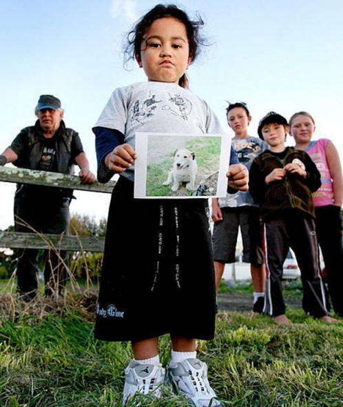 állatok 71. Nyilvánvaló bizonyíték arra, hogy az állatoknak lélek van