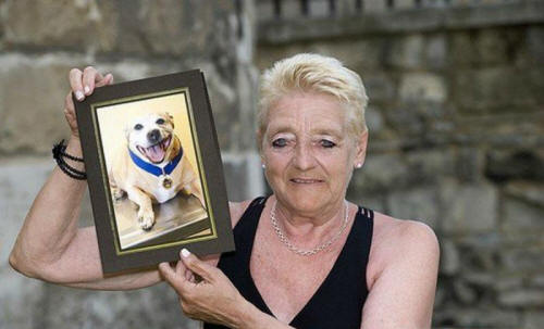 állatok 101 Néhány nyilvánvaló bizonyíték arra, hogy az állatoknak lélek van