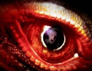 Hihetetlen találkozók az óceánban