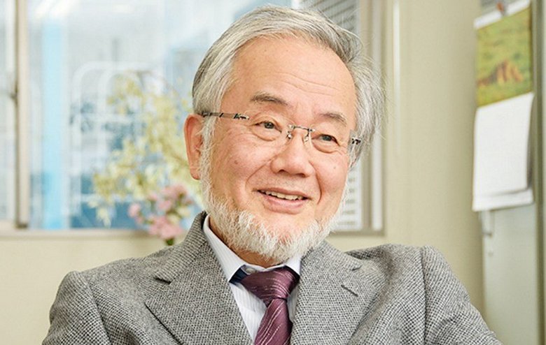 Nobel-díj az autofágia felfedezéséért