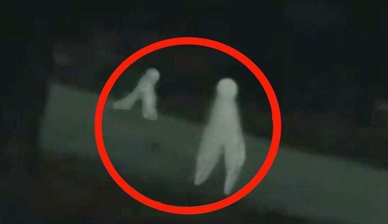 A Fresno éjszakai robotjai kétszer ütöttek a videóra