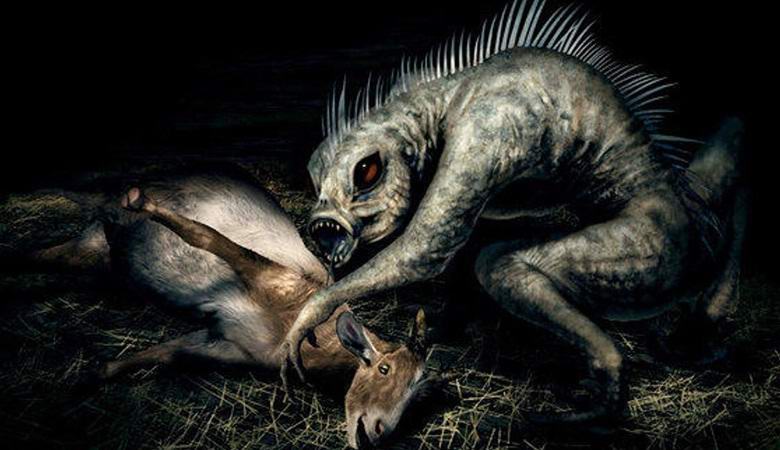 A chupacabra új felvétele elérte az internetet