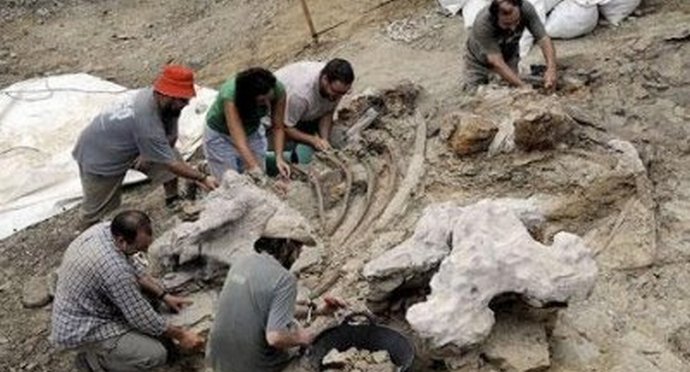 Az óriási skorpiókról és az amerikai tudósok furcsa eredményeiről