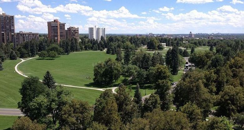 Sértett Dead Park Cheeseman