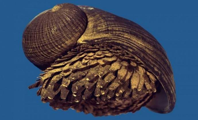 Talált egy fémhéjú csiga