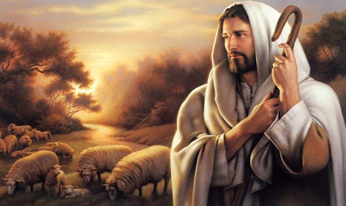 Krisztus képét észrevették egy lehúzott fa törzsén