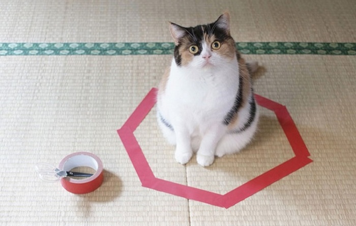 A körvonala jó, de a doboz jobb.