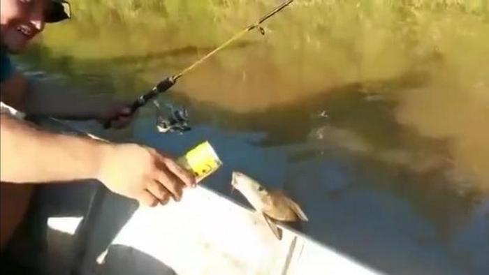 Kiderült, hogy még a hal is szeret sört.