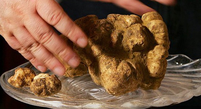 Meglepnek és örülnek minket.