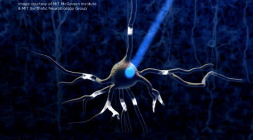 Optogenetics-neuron-640x353