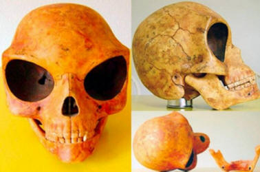 Az idegenek maradványai a Földön