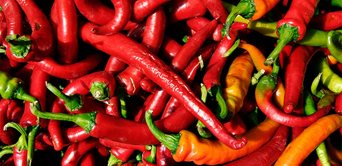 A forró paprika megvédi a májat a károsodásoktól.