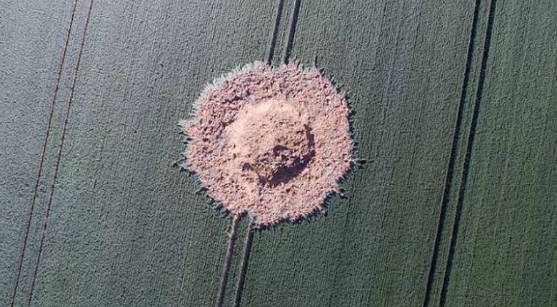 A második világháború visszhangjai a németek számára