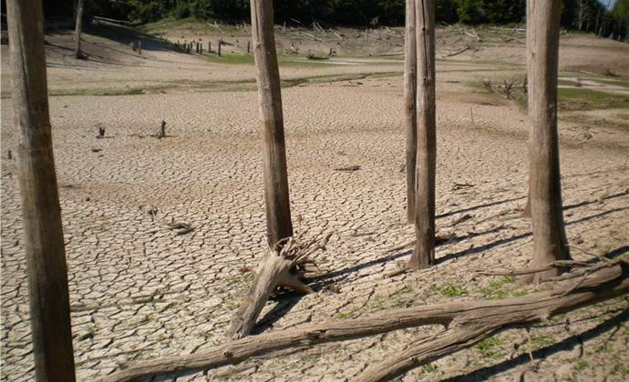 A halott fák tó Kazan közelében