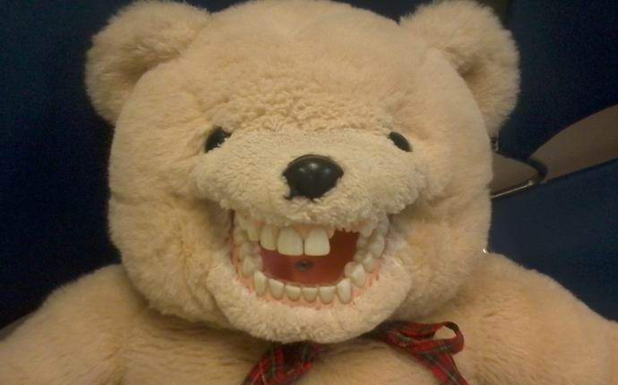 Egy újjáéledt maci fényképezett kamerával