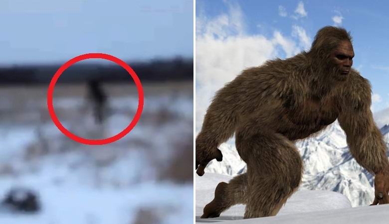 A pár megközelítette