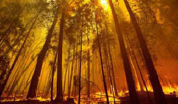 A bolygó elveszíti zöld színét