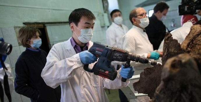 A mamutok ismét barangolnak Oroszország északi részén