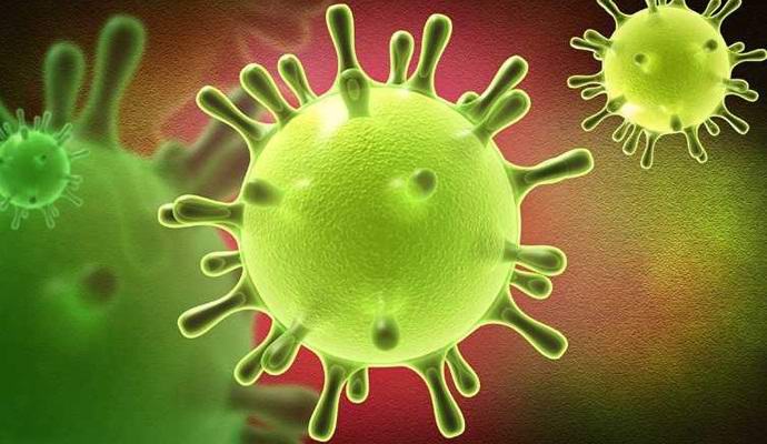 Egy legyőzhetetlen halálos gomba terjed az egész Földön