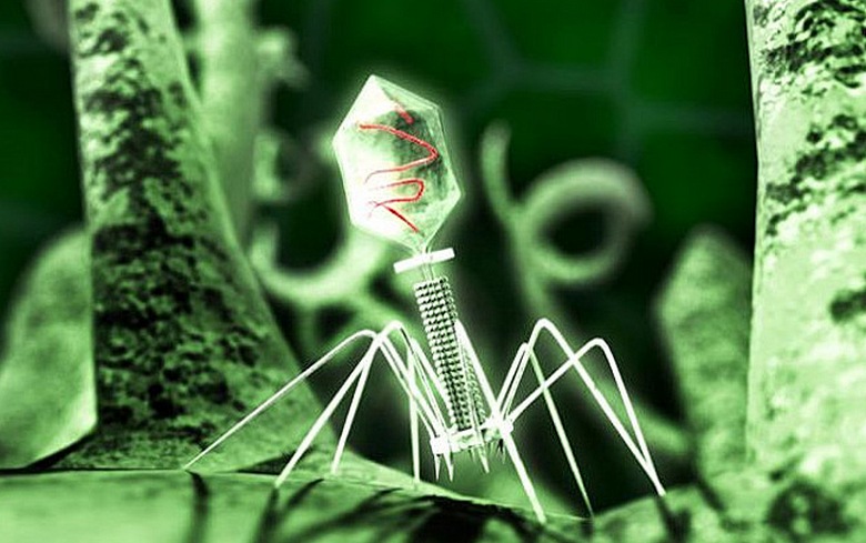 A rák legyőzése még a vírus sem könnyű.