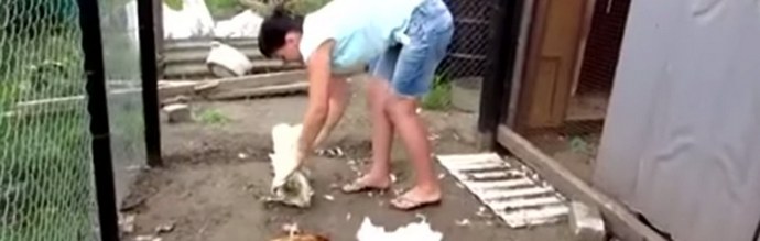 Miért jelenik meg Chupacabra mintha semmiből nem?