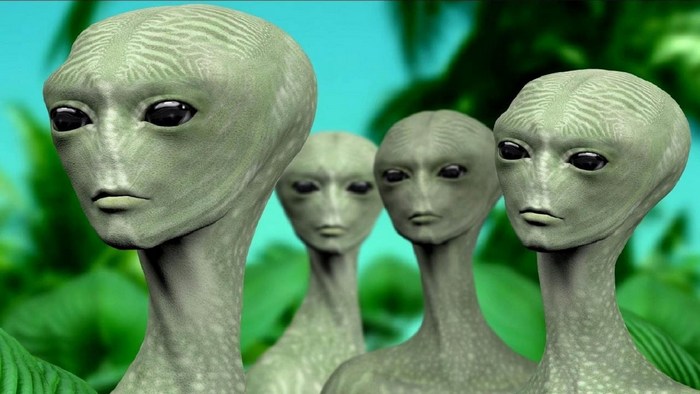 Miért imádják az emberek a hüllőket?