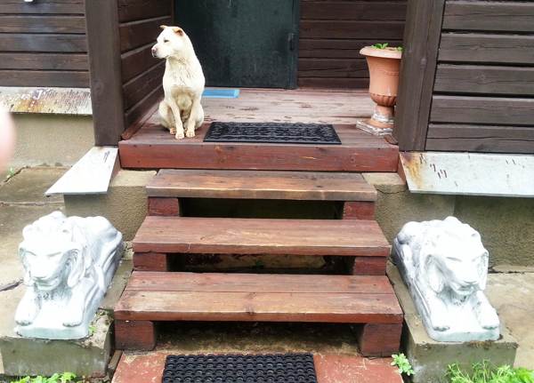 miért nem lépi át a küszöböt 