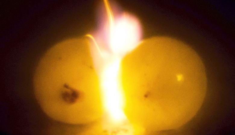 Miért robbant fel a szőlő a mikrohullámú sütőben?