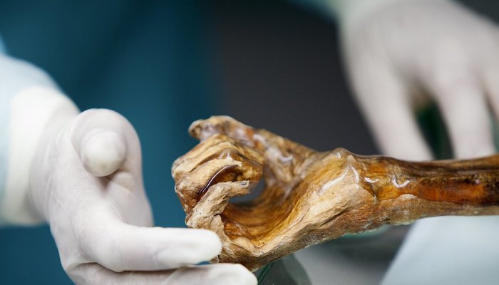 Miért emésztette meg Jekaterinburg egyik lakosa?