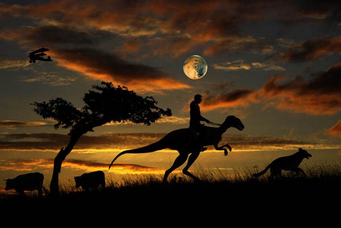 A Nevadaból származó cipő talpa félmilliárd éves?