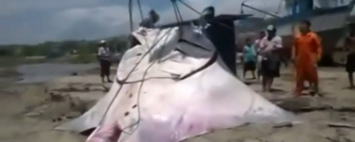 Óriási rámpát kaptunk