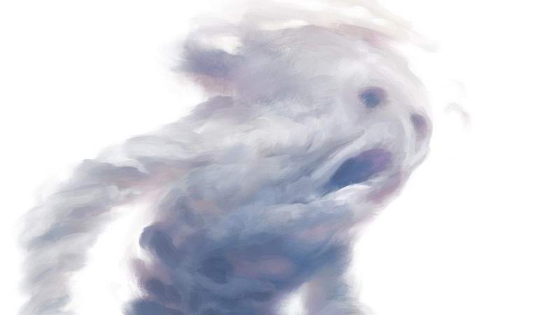 A pólus egy mitikus levegőelemet fényképezett a videón