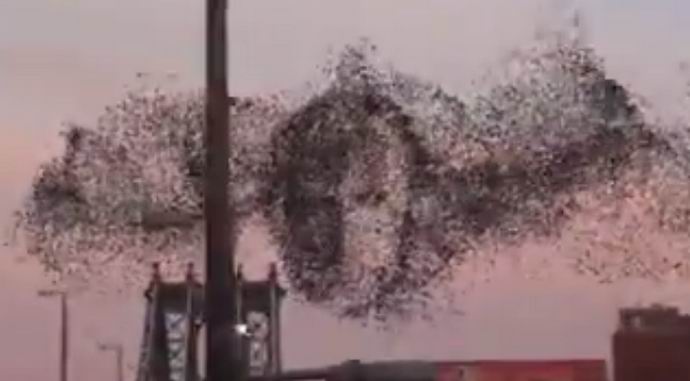 Putyin arcképe repül New York felett