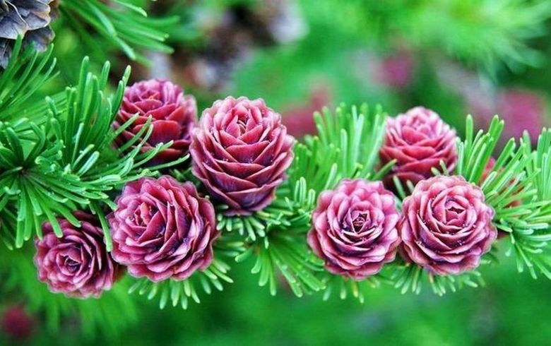 Nézzük meg ezeket a képeket és ... lepődjünk meg