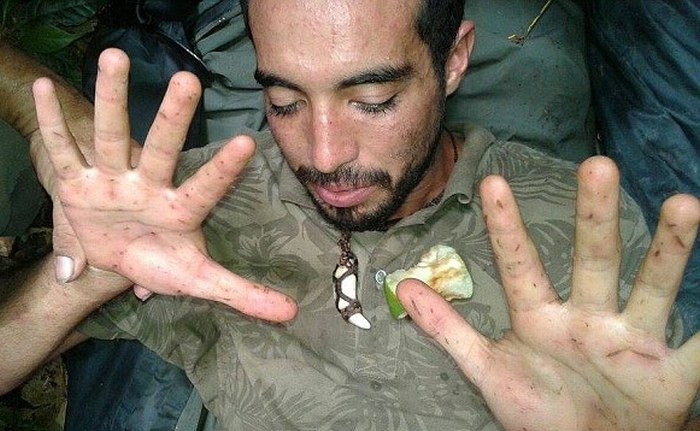 Elveszett a dzsungelben vagy párhuzamos dimenzióban?