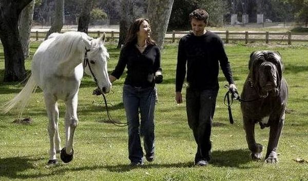 A Baskervilles-féle kutya leszármazottai