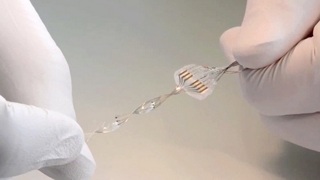 Sérült gerinc - nem számít!