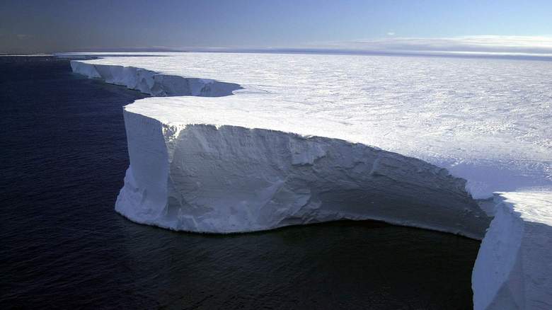 Lehetőség volt az ismeretlen ökoszisztéma felfedezésére
