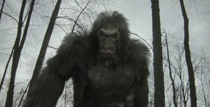 Új bizonyítékok a bemutatott Yeti