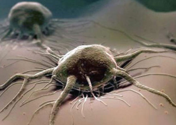 A rák okozza a halálos baleseteket?