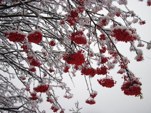 Jelek, szokások és összeesküvések november 18-ra - Galaktion, Epistimia és Jónás napjára 