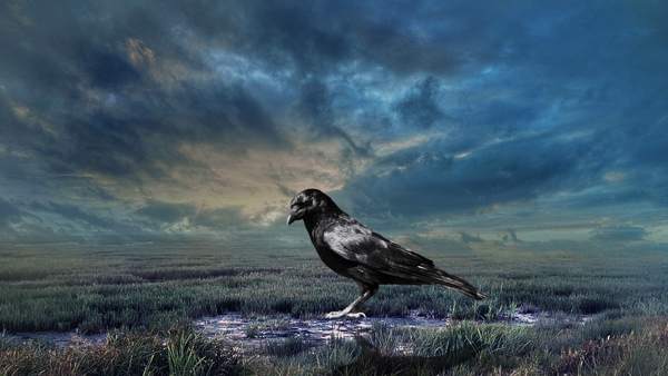 varjakról szóló jelek 