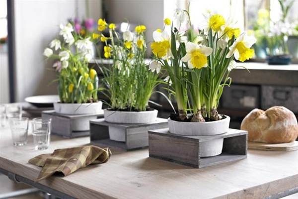 milyen virágokat nem lehet a ház tábláin tartani 