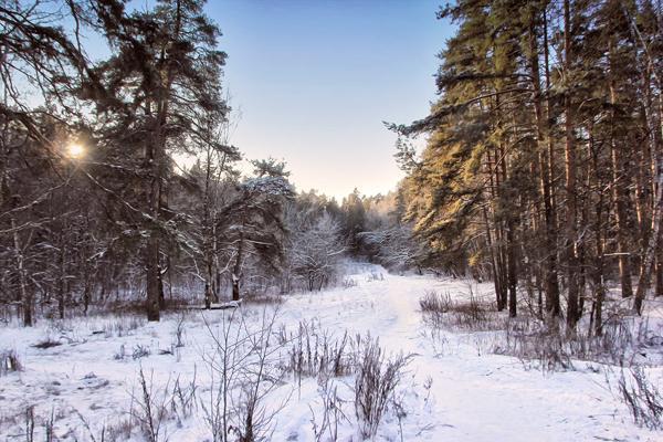 táblák december 9-re 