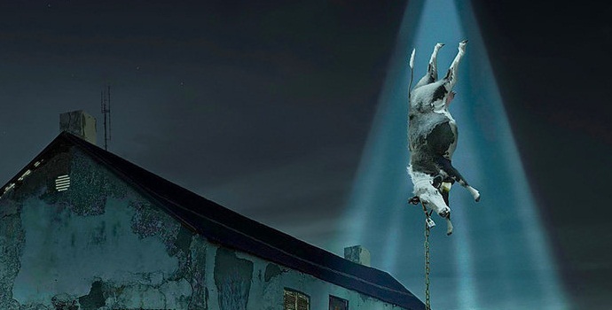 Az idegenek elrabolnak állatokat az ukrán tartalékból?