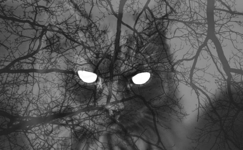 A szellem a garázsban ijesztette az őrt