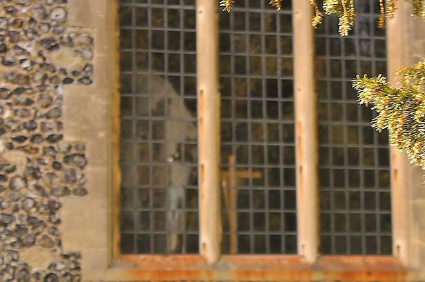 A szellemet még szaga is kimutatja.