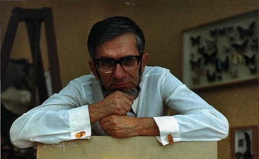 Grebennikov tudós hiányzó gravitációs síkja